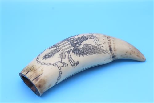 売り切り☆マッコウクジラ 鯨歯 スクリムショー 461g /Scrimshaw