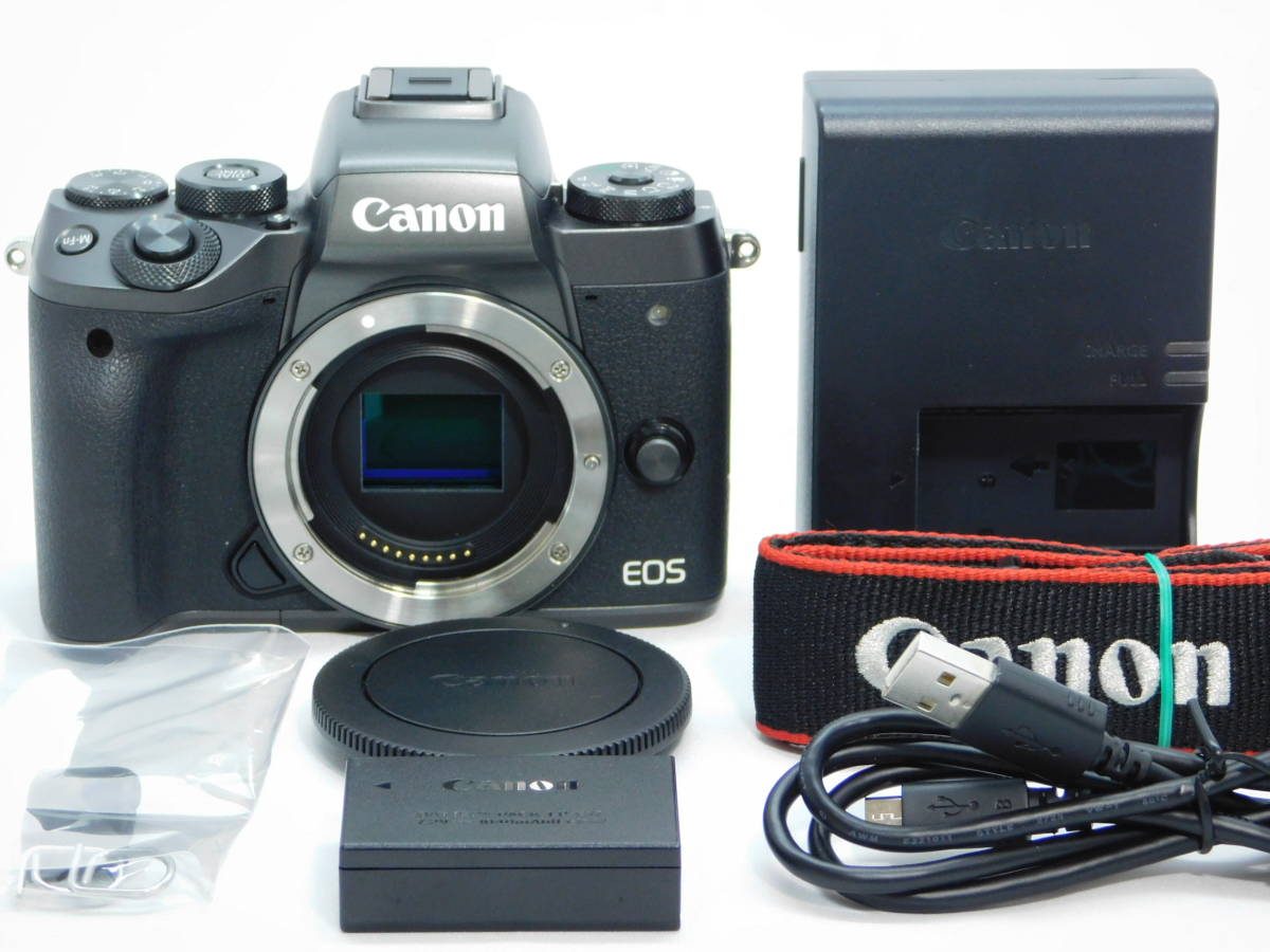 極上品 キヤノン EOS M5 ボディ 16517 □極上品□ Canon EOS M5 ボディ キヤノン CANON EOS M5 【公式
