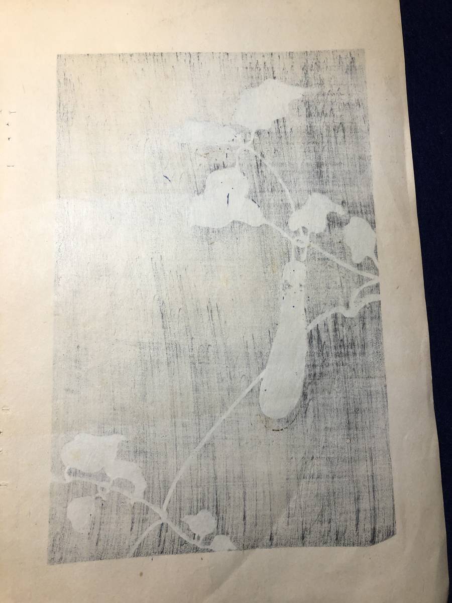 9305図案デザイン意匠 彩色木版画15枚 □光琳式明治模様□ 特大本 木版