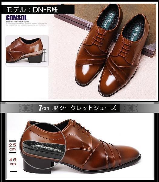 t803794521.1