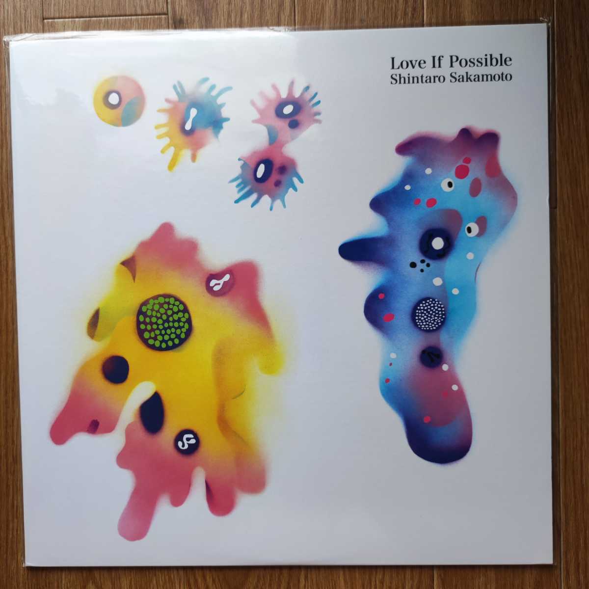 中古LP】坂本慎太郎「できれば愛を」限定アナログ盤 国内盤レコード