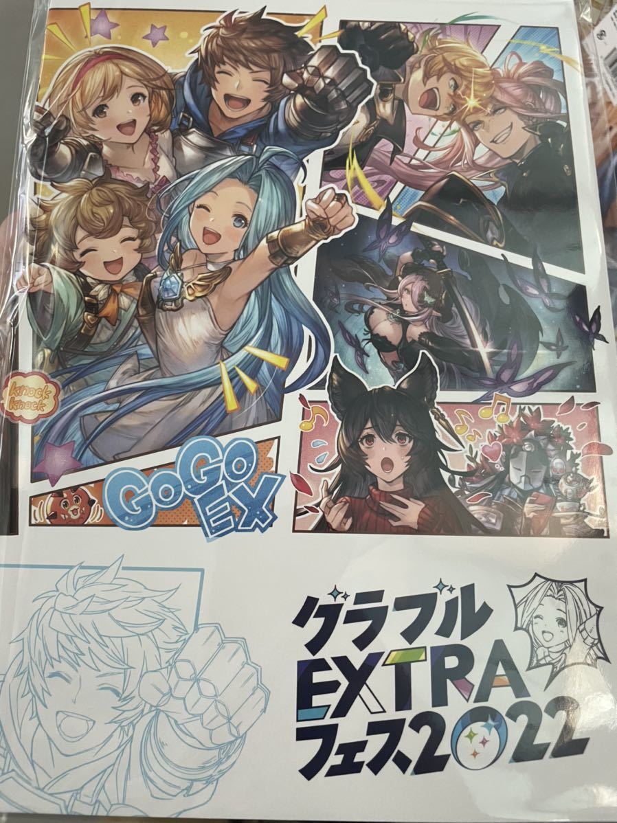 グラフェスEXフェス2022 リーフレット - wesser.cl