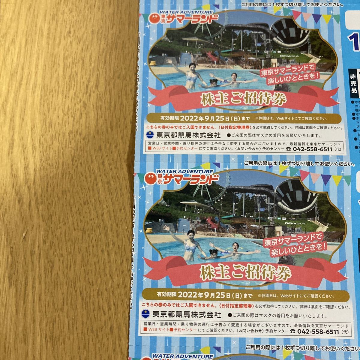 東京都競馬 東京サマーランド 株主優待券4枚2022/9/25ま(関東)｜