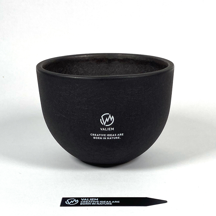 MOUTH MONSTER VALIEM 公式通販 SKULL Mサイズ 中古] バリエム_VALIEM