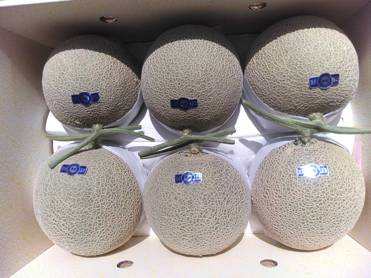 マスクメロン 2玉 約7.5kg 高知産6玉入り ♪6温室マスクメロン 