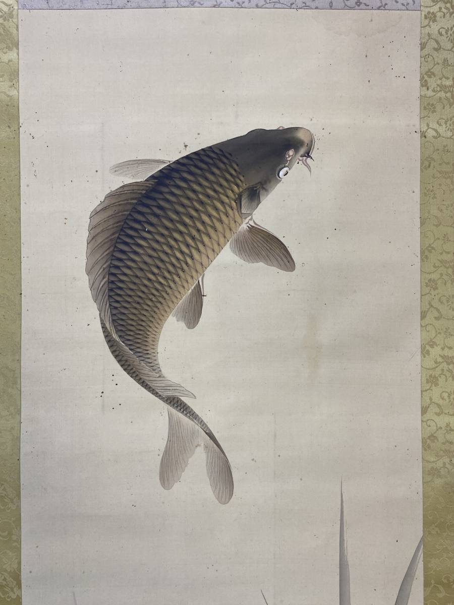 模写】1円〜 掛軸 「松永天章 錦鯉」 絹本 肉筆保証 時代物 中国画