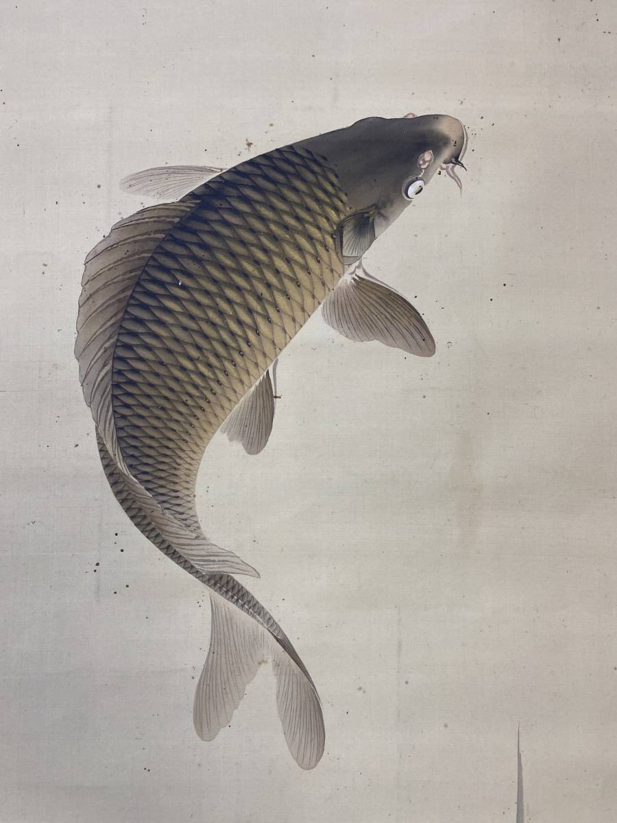 模写】1円〜 掛軸 「松永天章 錦鯉」 絹本 肉筆保証 時代物 中国画