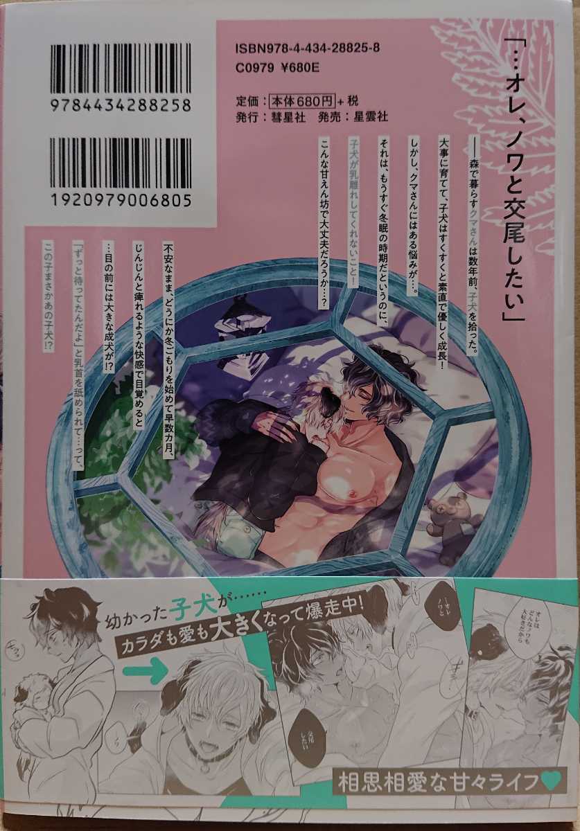 森のくまさん、冬眠中。１ ハルチカ リーフレット付き_3