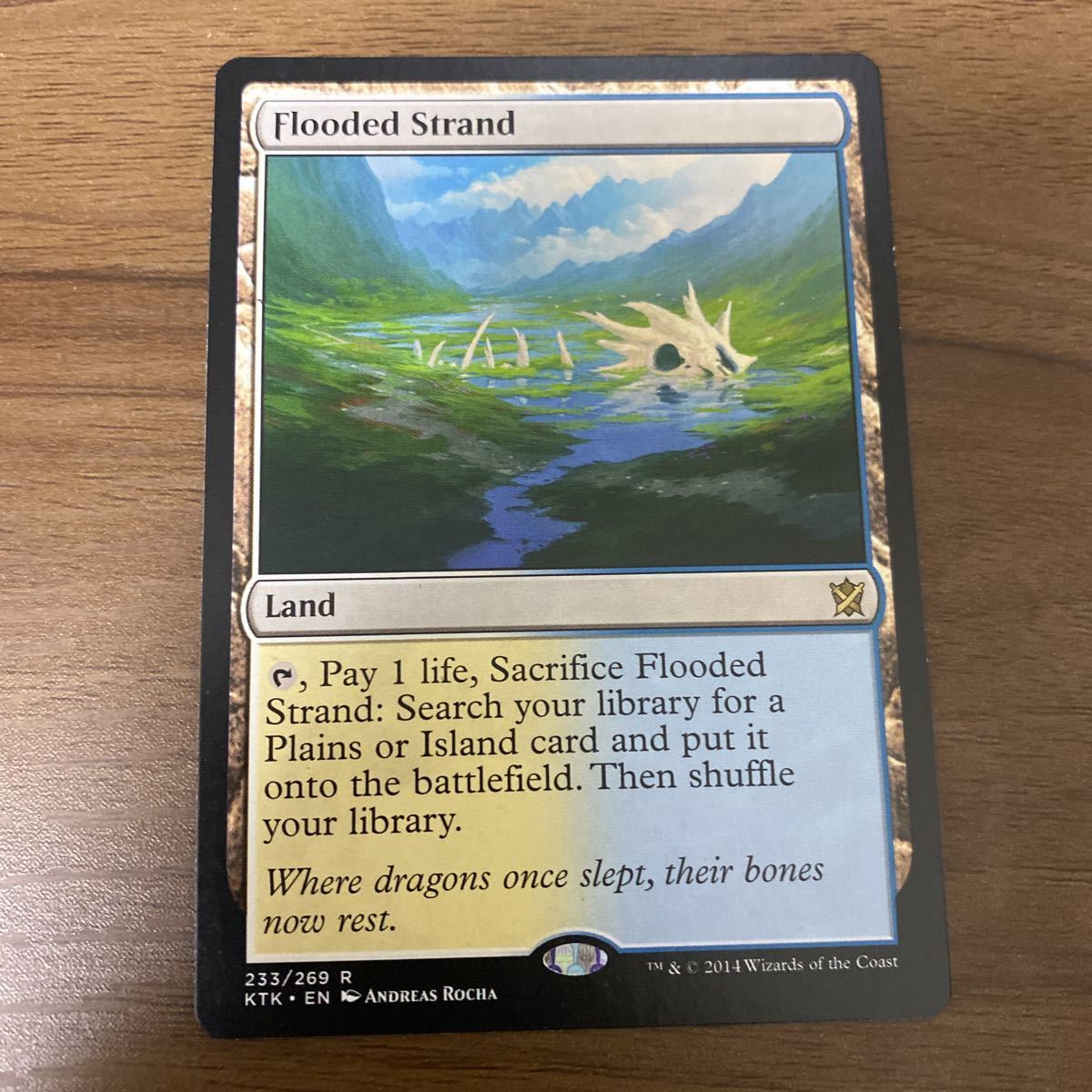 溢れかえる岸辺 MTG Strand 英語 Foil 公式通販 KTK ミントモール
