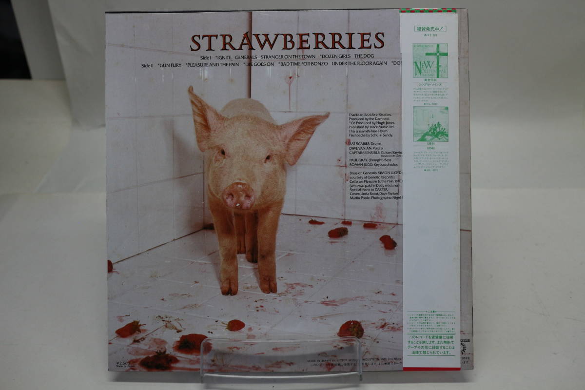 Strawberries The - – Damned TAMA Walnut⁄Birch Drum | WBSS65-LPO