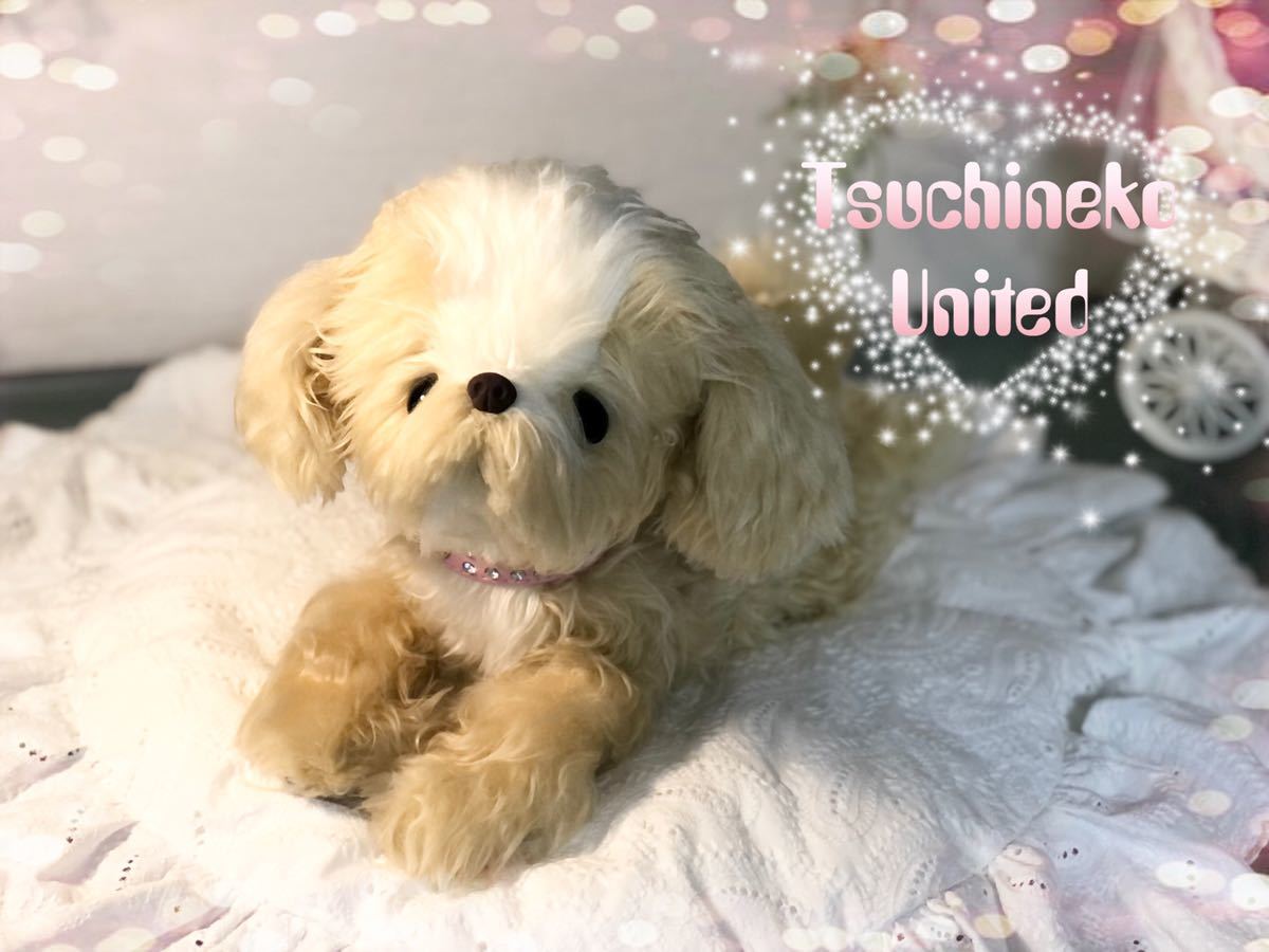 ぬいぐるみ、子犬、マルプー、チワプー、ハンドメイド、オリジナル、可動 tsuchineko フル可動 リアルサイズのマルプーちゃん トイスケルトン