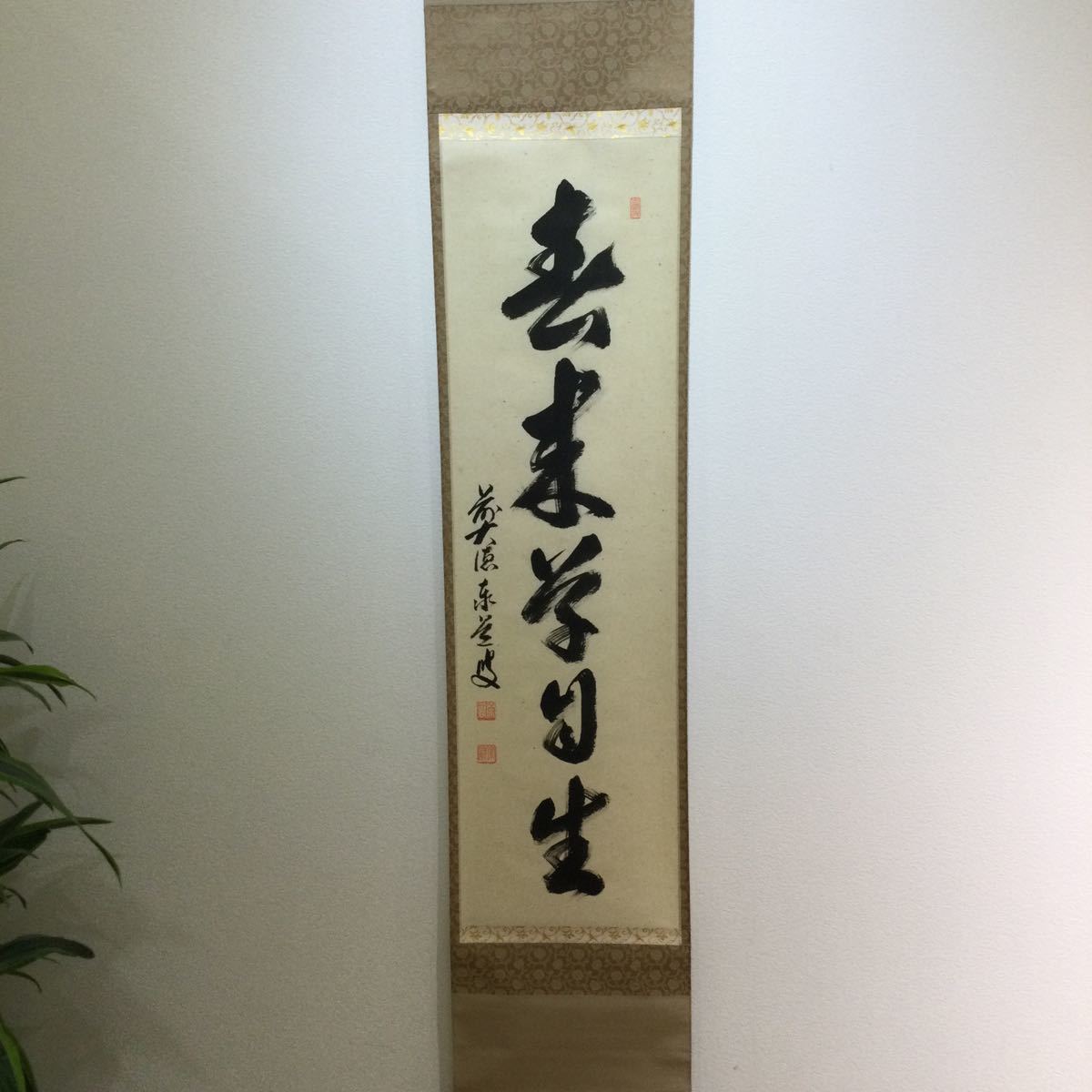 掛軸 大徳寺 足立泰道和尚 題目：春来草自生 共箱付き 臨済宗 真作