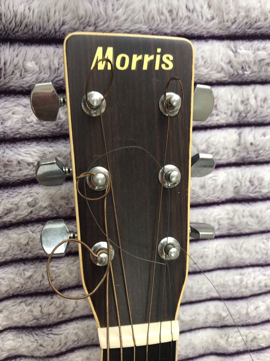 Morris モーリス W-25 ギター W-25 Morris ギター アコースティック