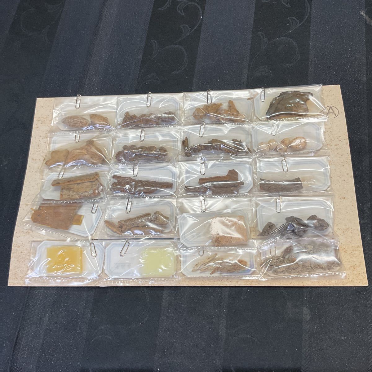 生薬標本一覧 80種】中井廣進堂 中井 康雄 漢方 東洋医学 コレクション