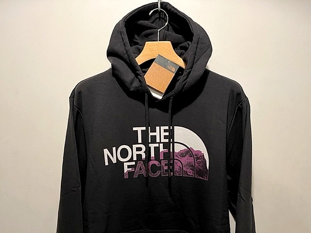 新品 本物 USA限定 日本未発売 The North Face ノースフェイス グラフィック ハーフドームロゴ フーディー パーカー Black US-XL