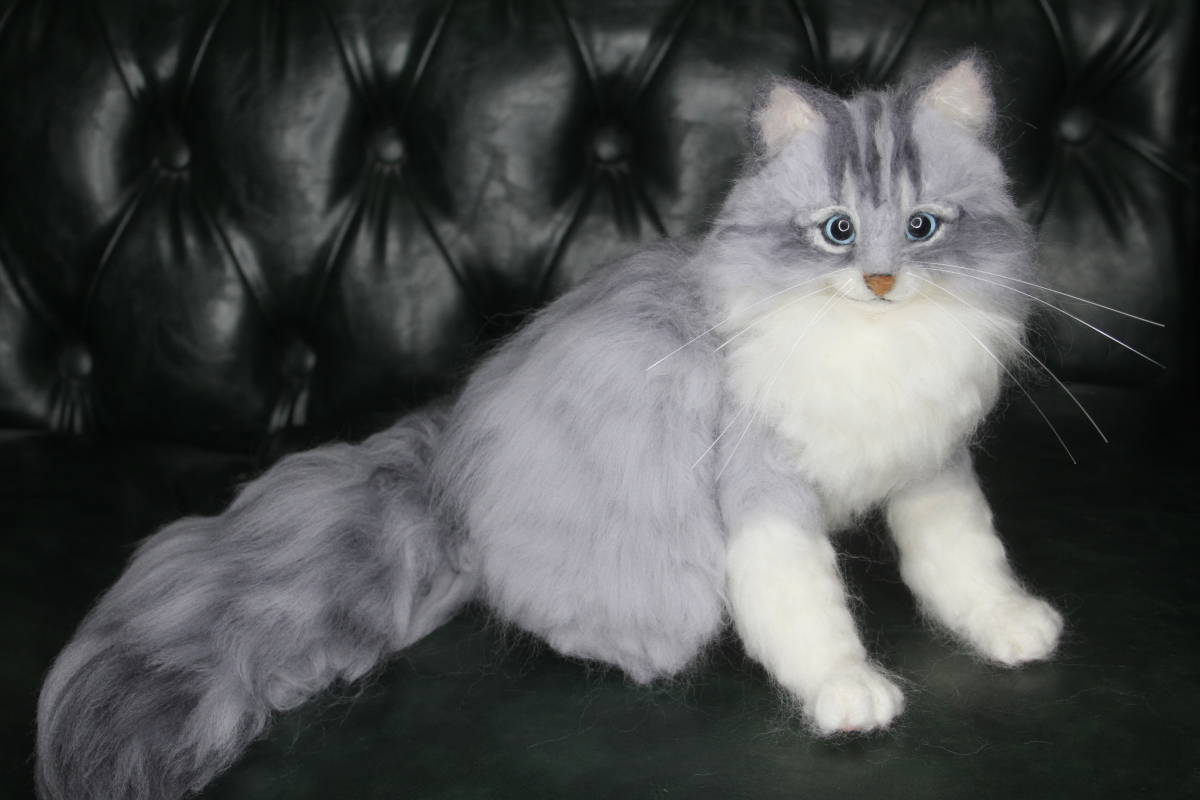 猫 サイベリアンの値段と価格推移は 22件の売買情報を集計した猫 サイベリアンの価格や価値の推移データを公開