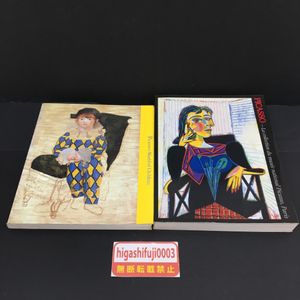 ピカソ作品集の値段と価格推移は 43件の売買情報を集計したピカソ作品集の価格や価値の推移データを公開