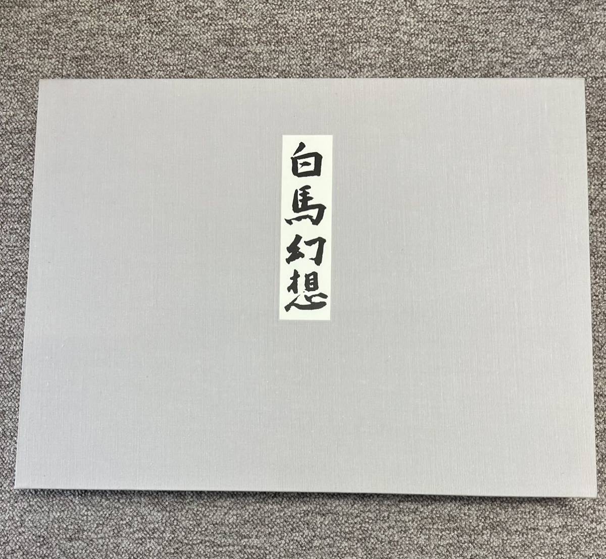  1円から 東山魁夷 日本経済新聞社 白馬幻想 画集(画集)｜売買されたオークション情報、yahooの商品情報をアーカイブ公開 - オークファン 画集