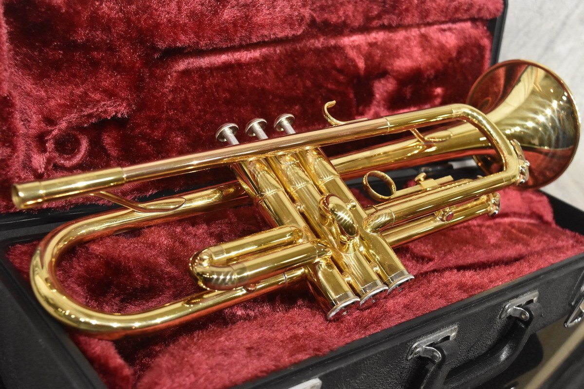 ☆大注目☆○1000円スタート○【美品】CarolBrass C-line ML GL B