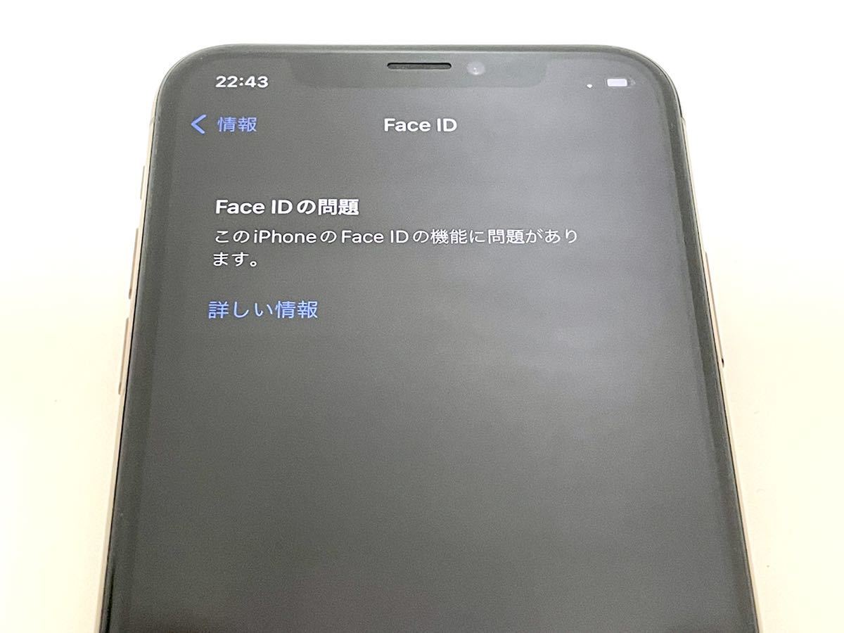 iPhone Xs 256 GB SIMフリー【ジャンク：Face ID故障】 ムスビー｜当日