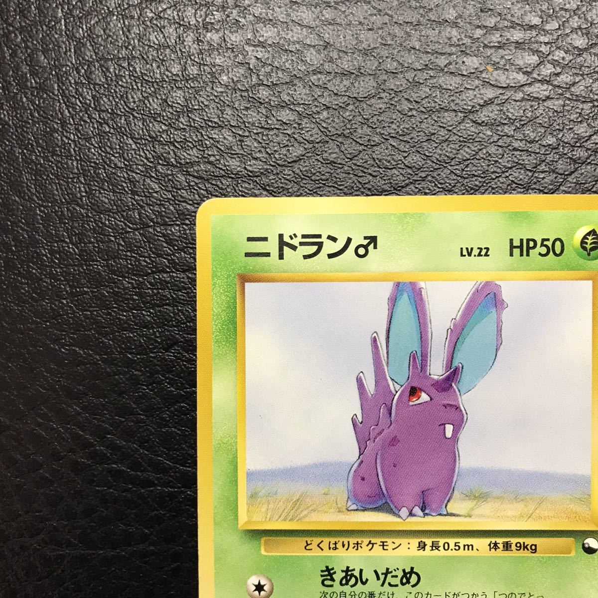 O-21 希少 旧裏面 クイックスターターギフト ポケモンカード ニドラン