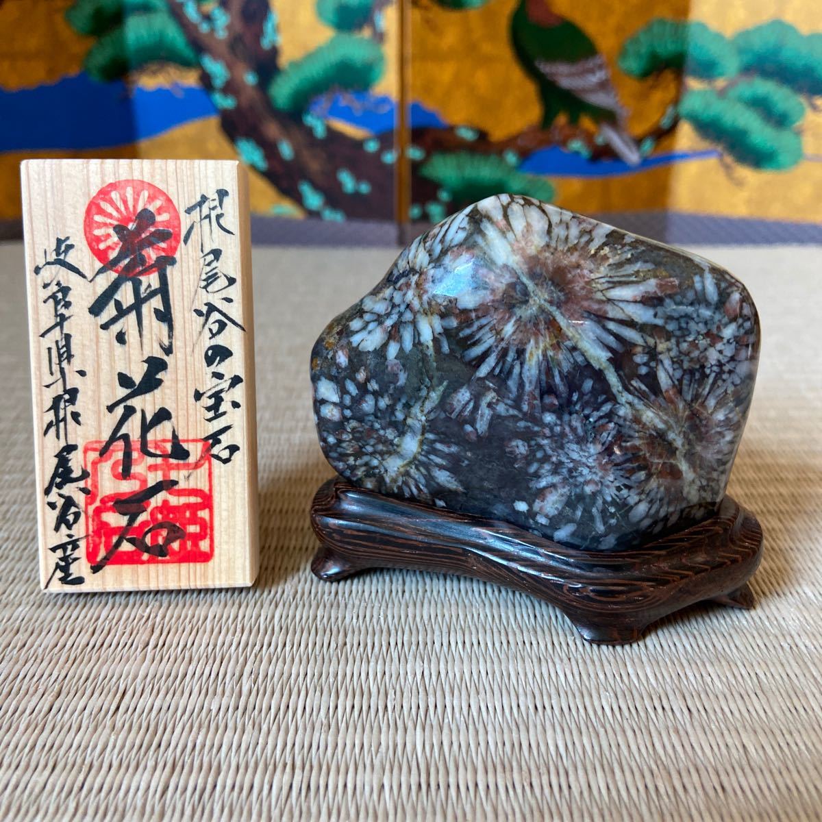 菊花石美しい菊の模様の鑑賞石 でも化石じゃないよ！ 超希少！限定入荷 