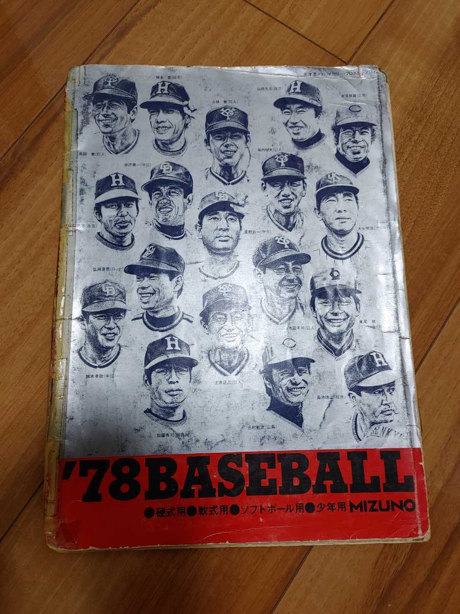 美品 青山ハープ 25S サウルハープ ソフトケース 25弦O1773648 【公式