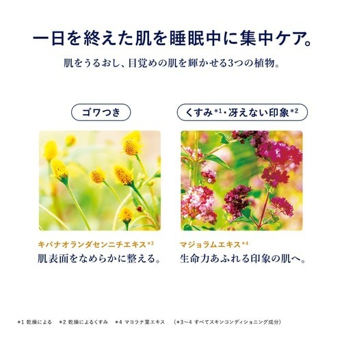新品★未使用◆ロクシタン イモーテル オーバーナイトリセットセラムb(夜用 美容液)30mL◆翌朝満ち足りたハリ肌夜用リセット美容液 オーバーナイトリセットセラム オーバーナイト イモーテル ロクシタン(L'OCCITANE) ロクシタンイモーテル 使用感と成分