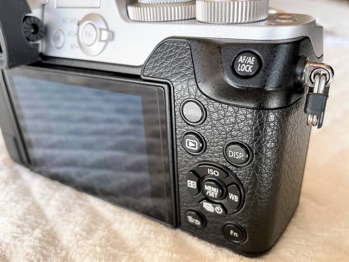 LUMIX gx8 本体とバッテリー2個 おまけ付き