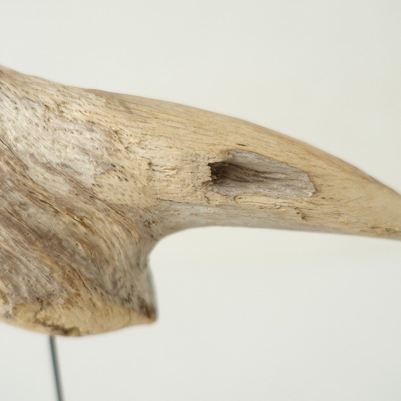 ドラマスタジオ DRAMA STUDIO *kotori 木鳥 オブジェ*流木インテリア