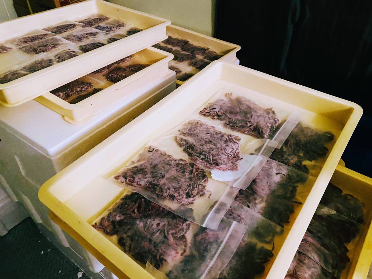 送料込み　塩イソメ　アミノ酸＆ソフト加工　400g分　ネコポス発送_7