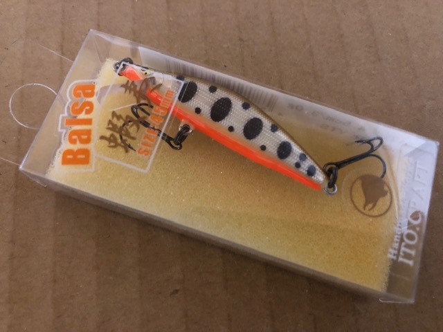 b*g様 蝦夷50s dコンタクト 他 b*g様 蝦夷50s dコンタクト 他 イトウ