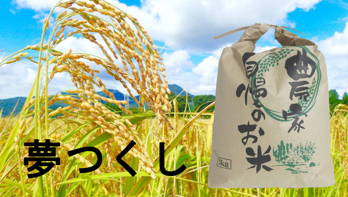 農家直送!!】令和5年度 新米 約30kg 夢つくし 精米