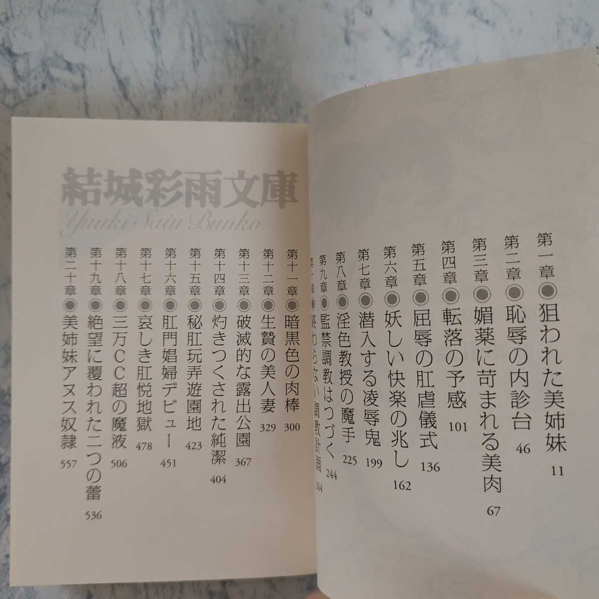 送料無料】 美姉妹・肛姦の罠 結城彩雨文庫 フランス書院(恋愛小説一般 