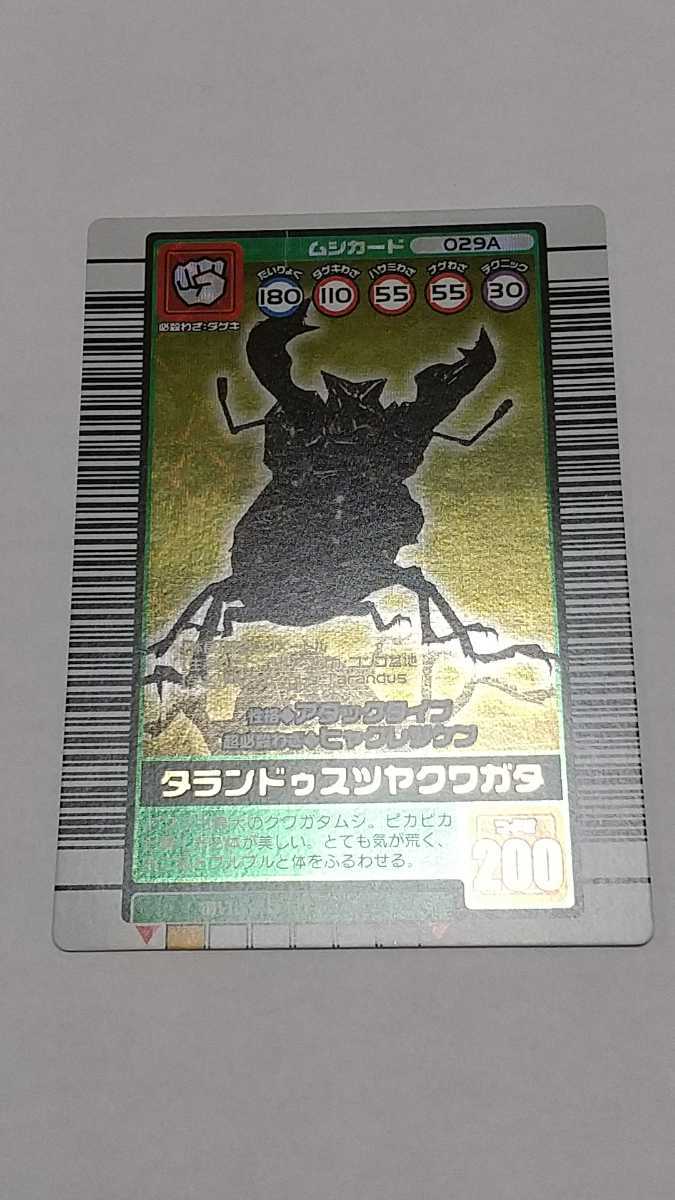 オーダーお受けいたします 2026年最新タランドゥスツヤクワガタ 2003の人気アイテム タランドゥス