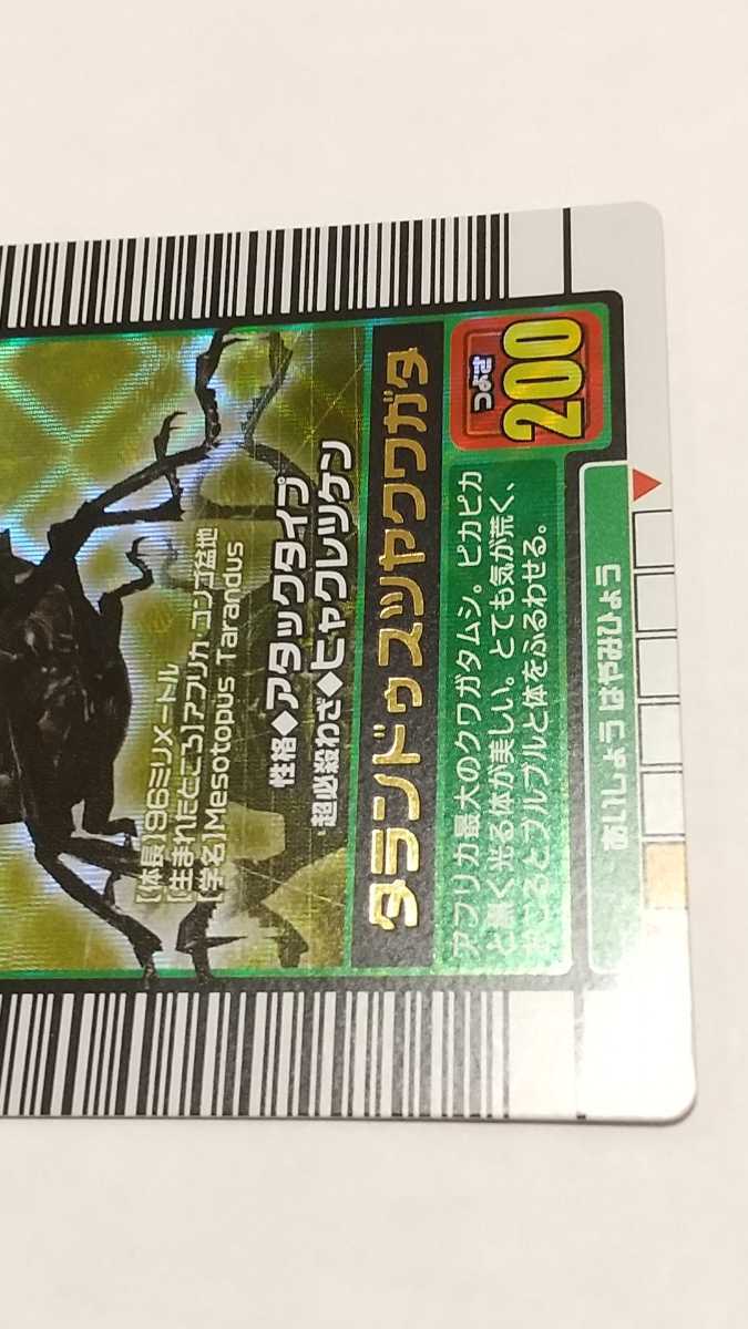 2026年最新タランドゥスツヤクワガタ 2003の人気アイテム タランドゥス