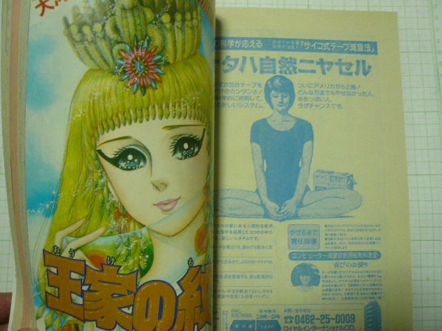 プリンセス 1月号 1984年 1984年1月号「プリンセス」秋田書店 細川知栄子/王家の紋章 碧ゆかこ