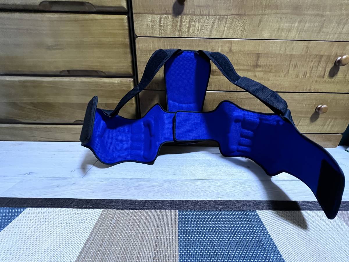 美品【EXGEL / ドライカーボン製】レーシングカート用リブプロテクター 