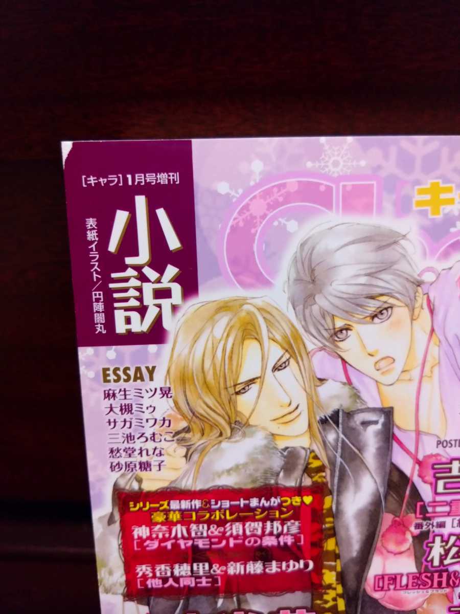 小説Chara[キャラ] 1月号増刊 2010 vol.21 吉原理恵子[二重螺旋 番外編  