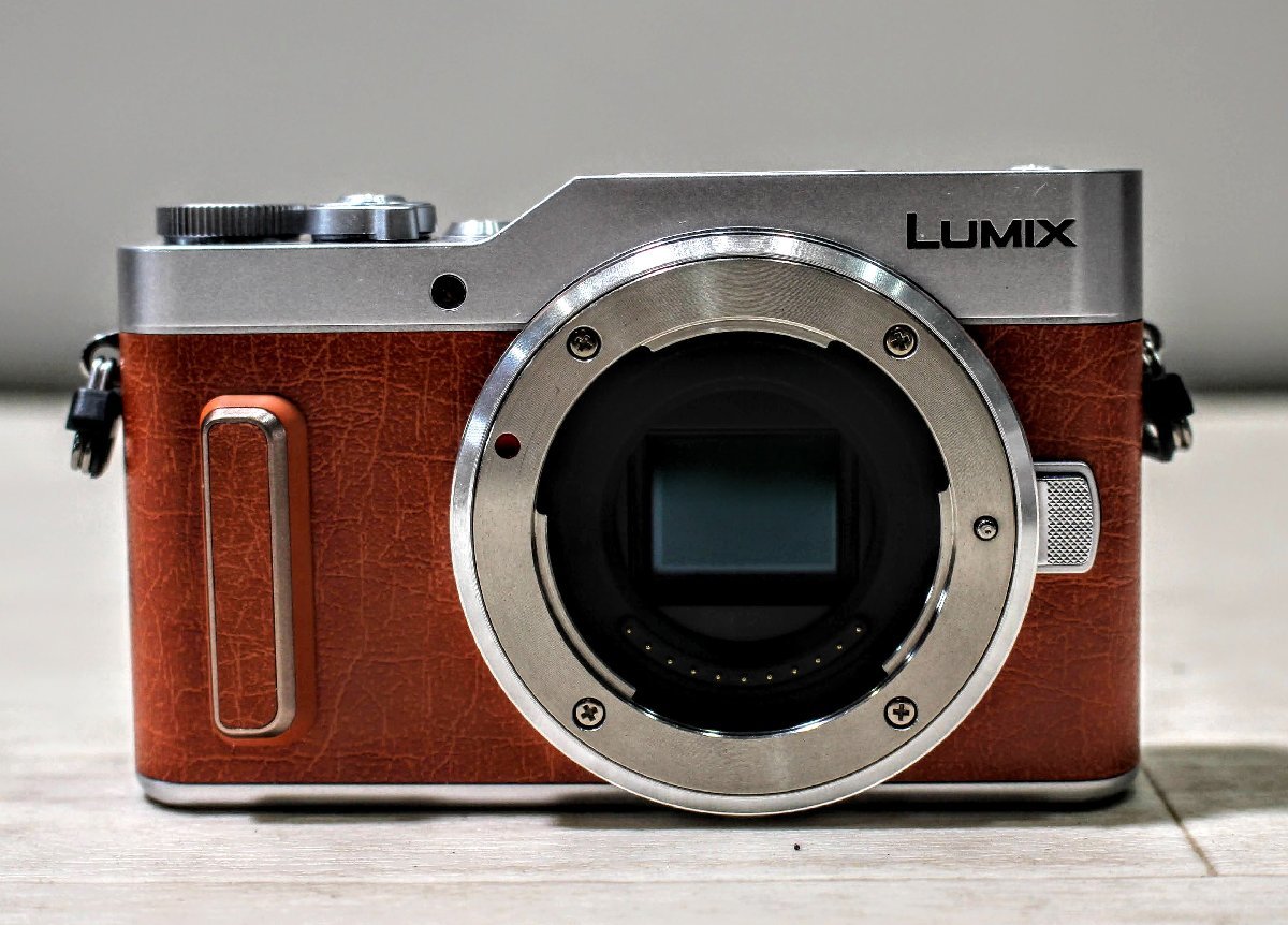 ダブルレンズキット LUMIX DC-GF10 Panasonic DC-GF10W 公式通販 