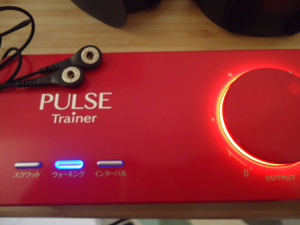 パルストレーナー 型式PT-Ⅱ ホーマーイオン研究所 日本製 PULSE 