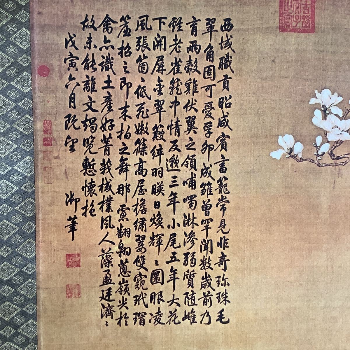 掛軸 特大 中国画 カラス 花庭 雀 n22