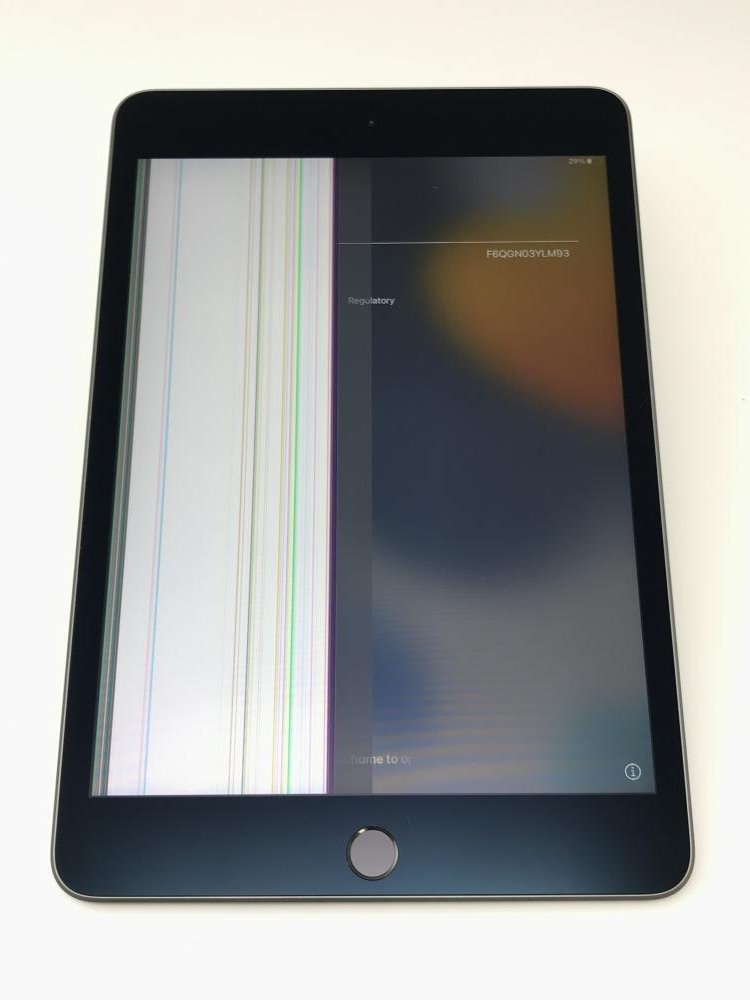 Apple iPad mini 第5世代　スペースグレイ　 ジャンク 1051【ジャンク品】 iPad mini 第5世代 64GB Wi-Fi スペースグレイ