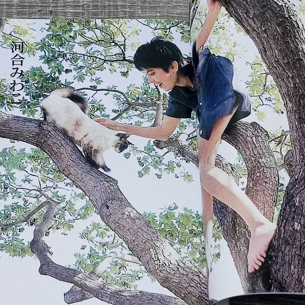 文庫本 初版 写真集 新 激写文庫 28 今日のために生まれた 撮影 篠山紀信 モデル 河合みわこ 神菜萌子 森志保 香紗里奈 絶版(複数被写 ...