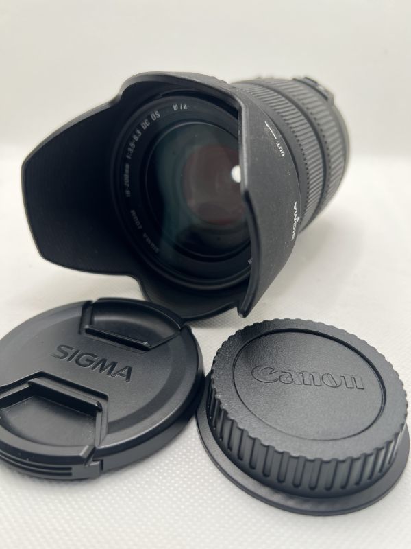 全額返金保証】【最速発送】TAMRON 18-300mm F/3.5-6.3 Di III-A VC