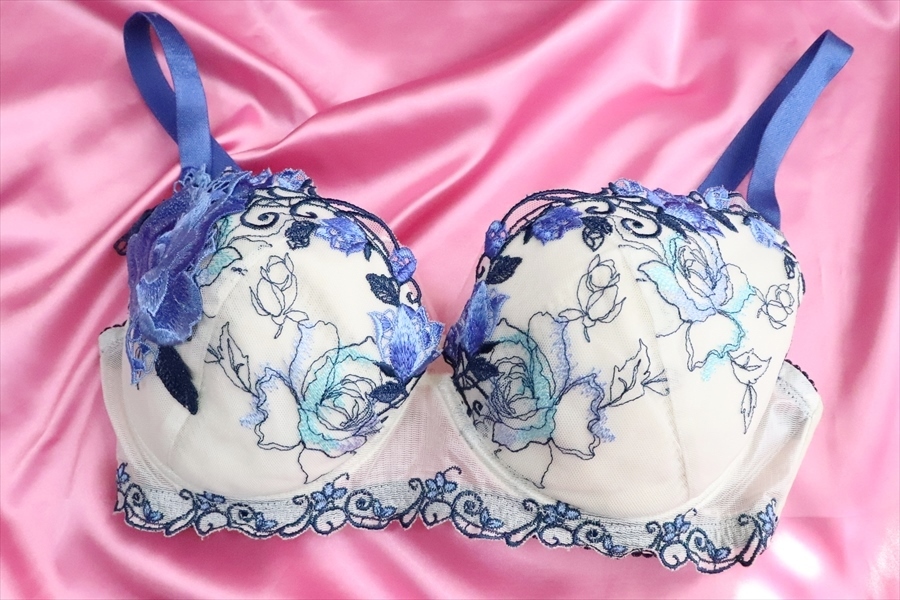 Wacoal ワコール サルート ブラ F75 レース 花柄 補正下着 白/青