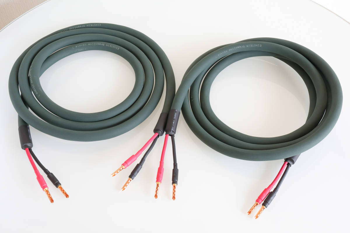 EINSTEIN Greenline vivace スピーカーケーブル 2.6m×2本 pair 銅非