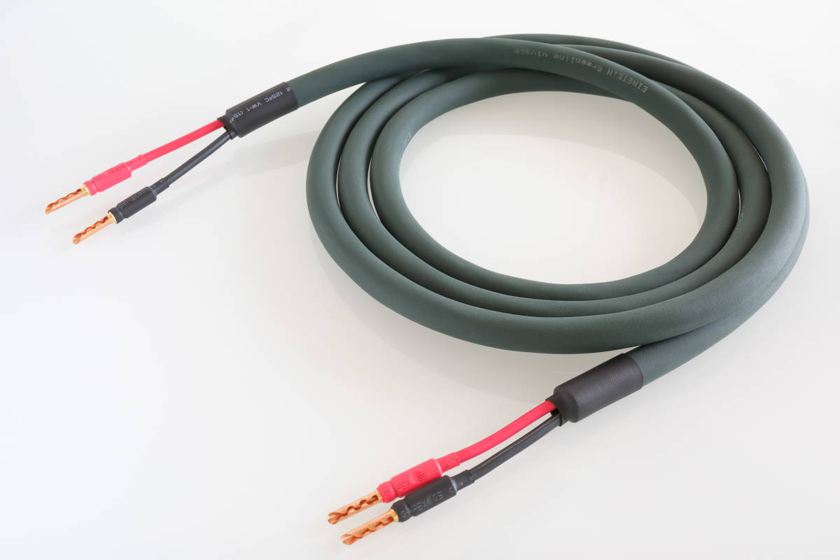 EINSTEIN Greenline vivace スピーカーケーブル 2.6m×2本 pair 銅非