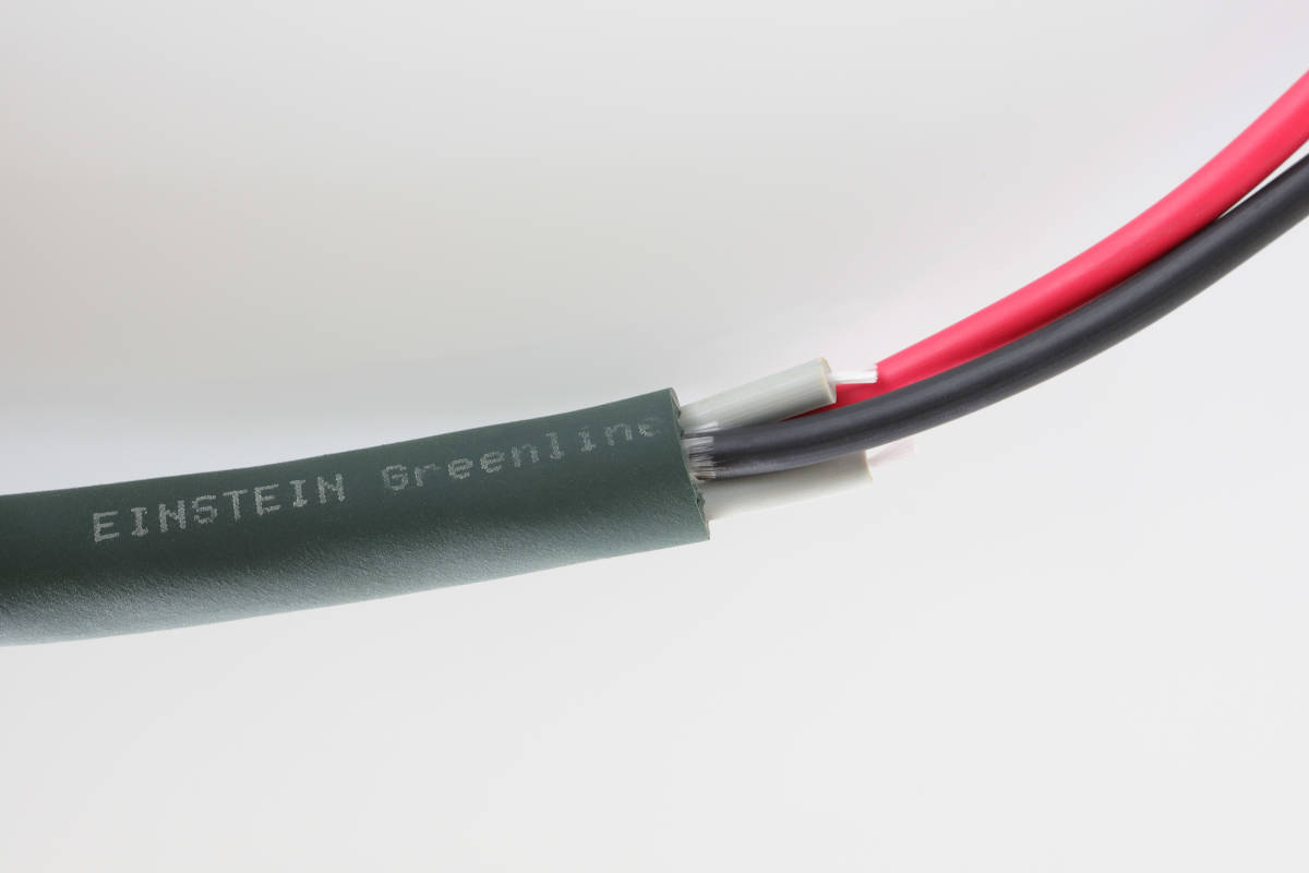 EINSTEIN Greenline vivace スピーカーケーブル 2.6m×2本 pair 銅非