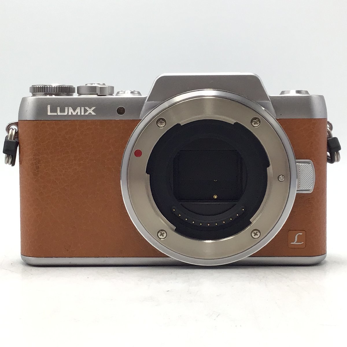 カメラ ミラーレス一眼レフ セット品 Panasonic LUMIX DMC-GF7 / G 